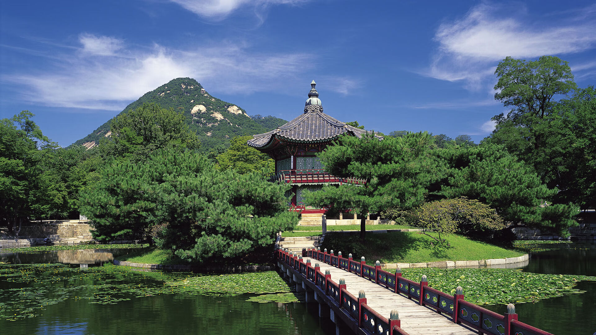中国足球的场地设施建设标准化，我国足球场地设施建设的现实困境及其破解对策