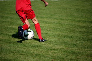 Jiuyou Sports-俱乐部青训体系与职业联赛脱节，俱乐部青训有工资吗