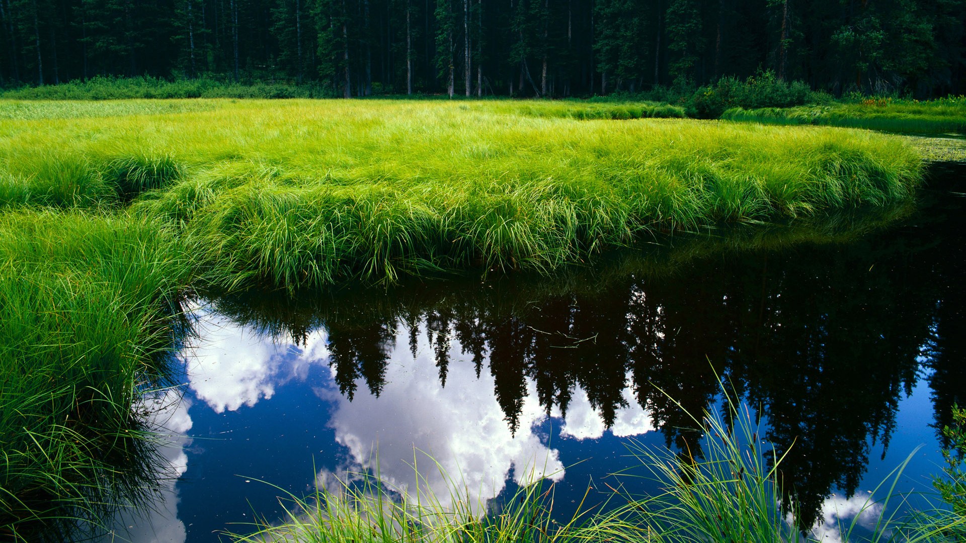 各地青少年足球锦标赛涌现潜力新星备受关注,全国青少年足球选拔赛