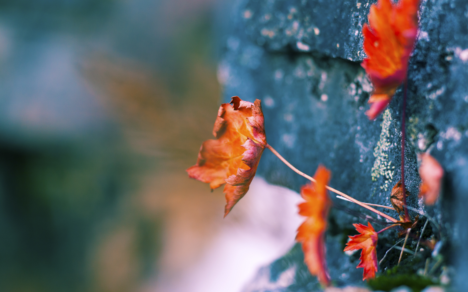 九游体育入口-意甲激烈对抗：团队默契成就佳绩！，意甲队伍