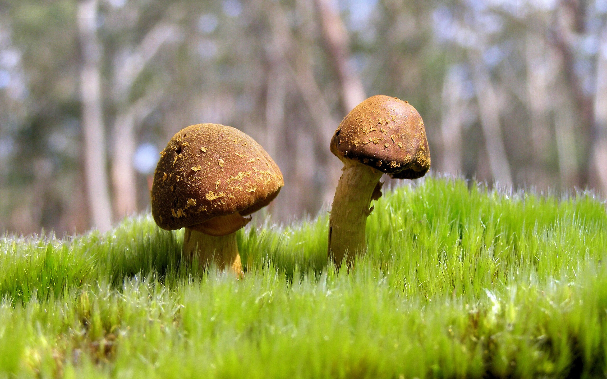 九游娱乐网站-掘金控球后卫状态回升带动全队进攻，掘金控球后卫状态回升带动全队进攻吗