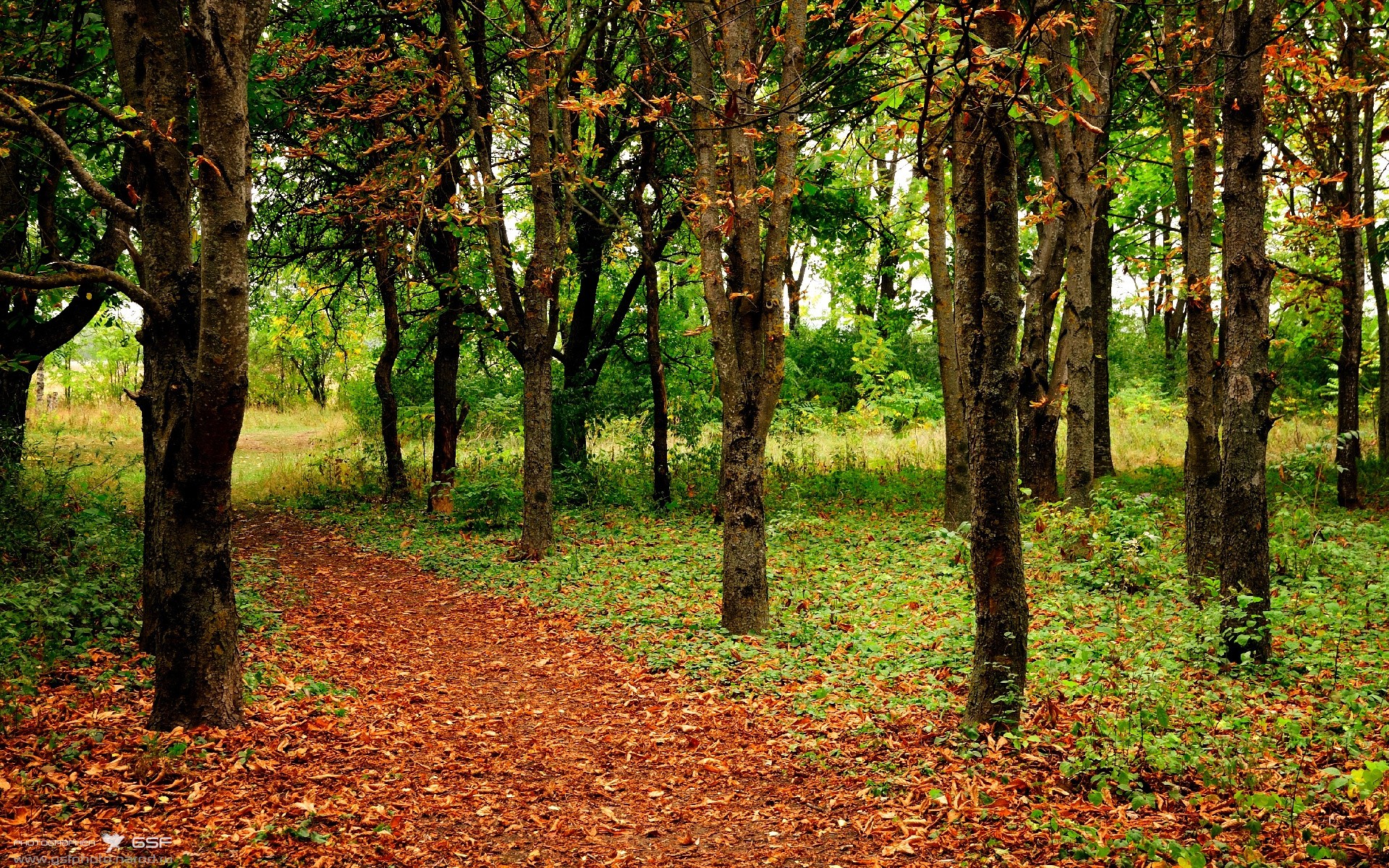九游娱乐官网入口-球员比赛中展现良好视野多次送出威胁传球成为进攻枢纽核心，球员对球场上所发生的事实问题