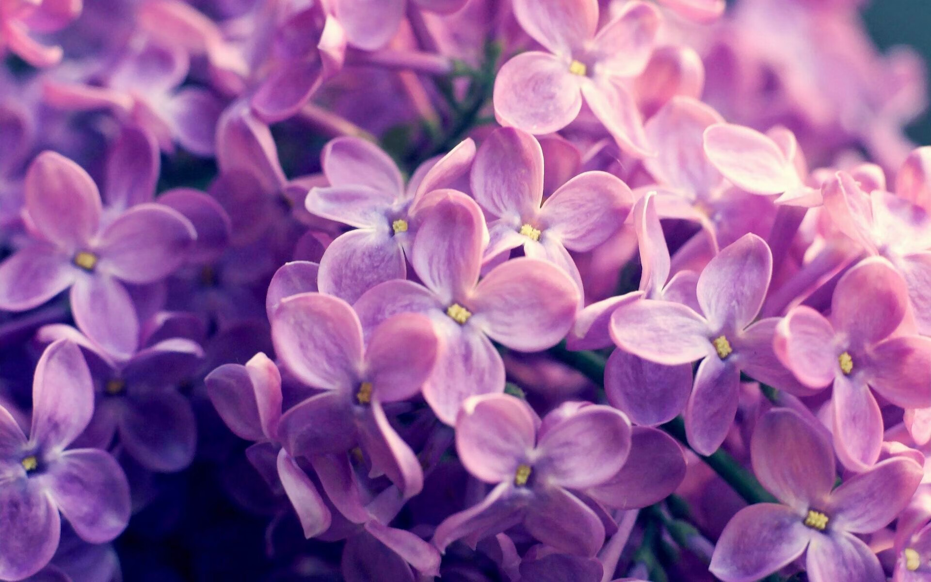 九游注册-联合主办城市签署合作协议，共同推动赛事发展，联合承办和联合主办的区别