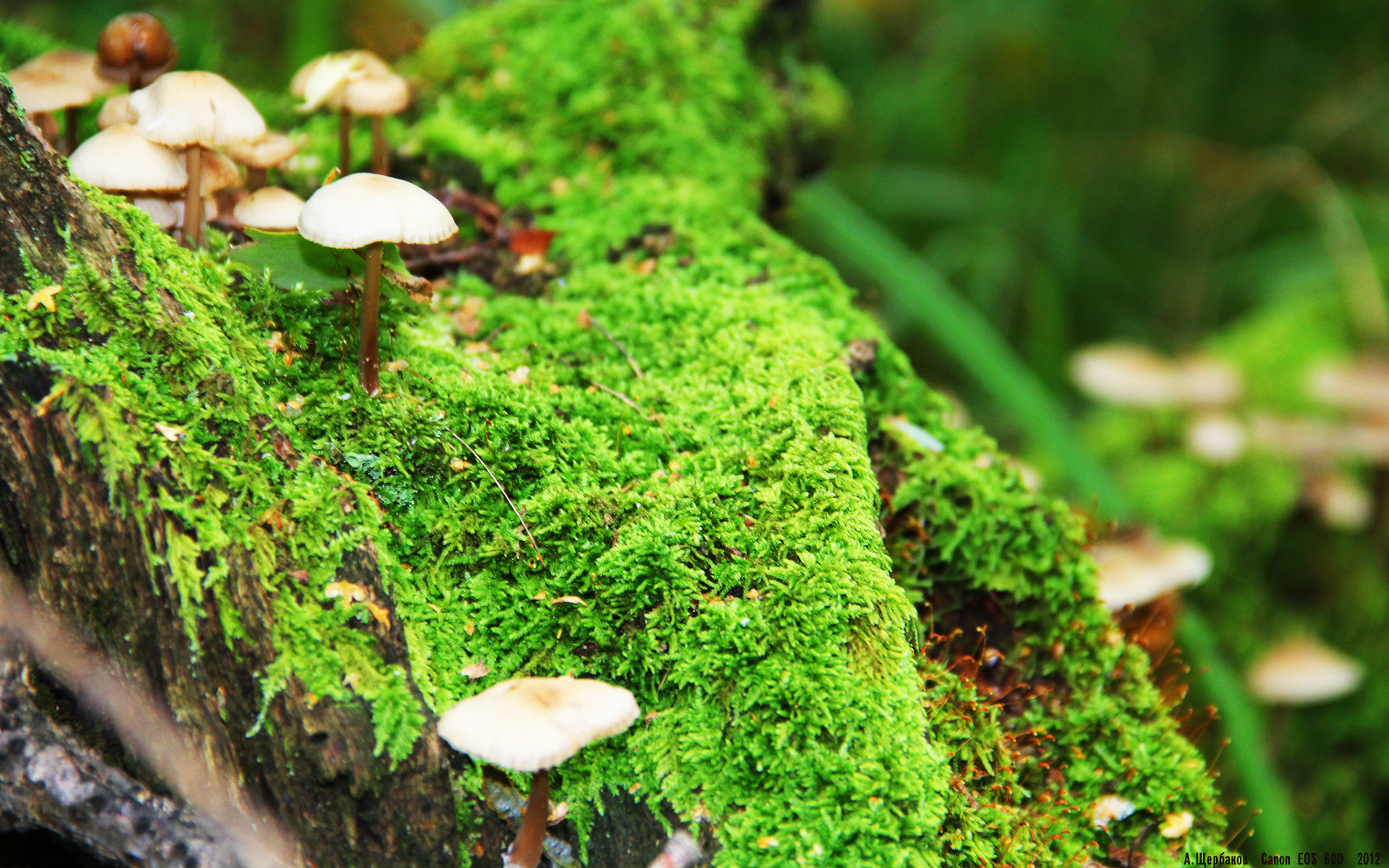 九游体育网站-英超冲刺激烈：冠军悬念逐步拉开！，英超逆袭夺冠