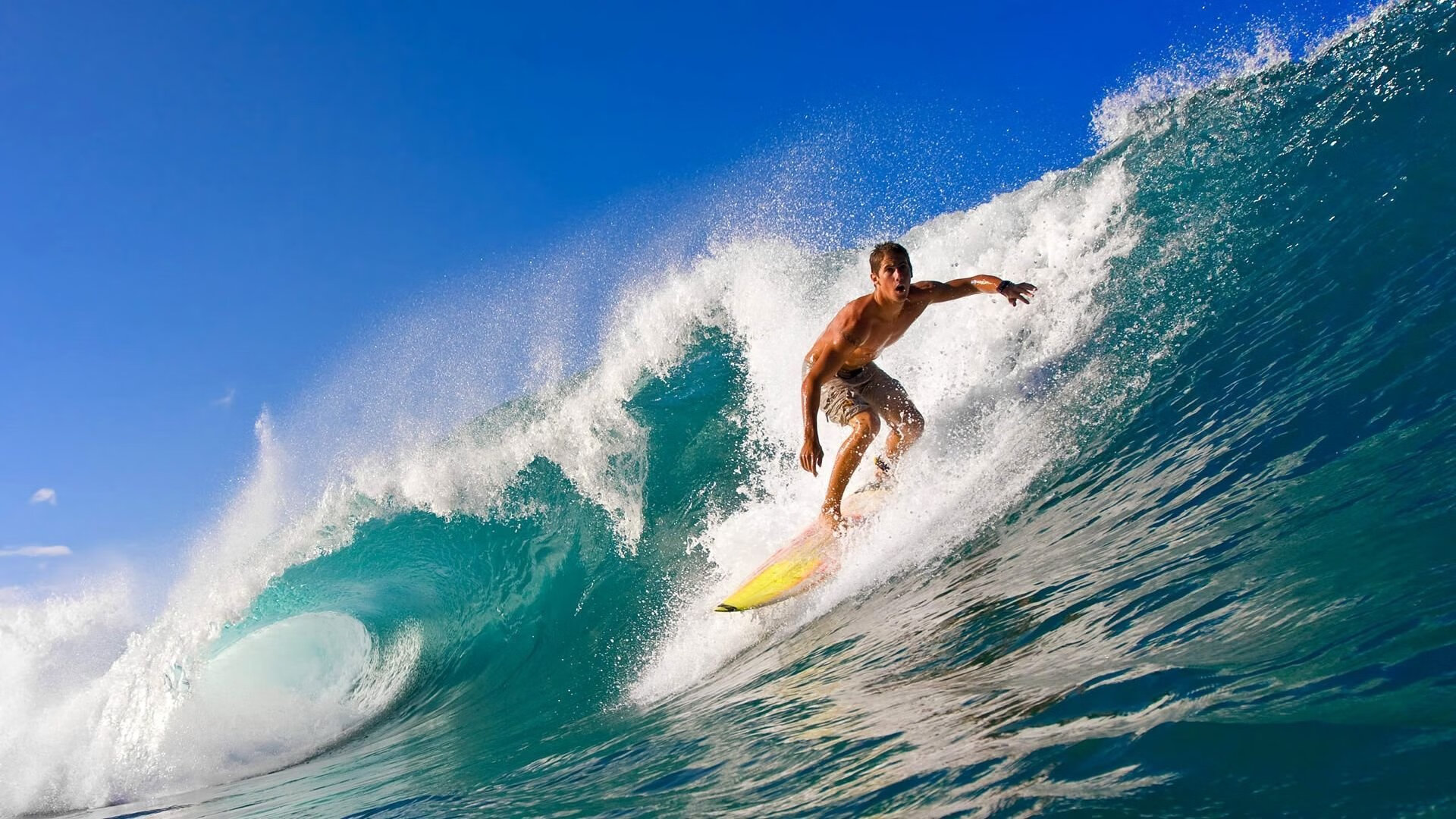 “机器人裁判的终极考验：效率、精准度与公平的完美融合”，机器人裁判认证考试