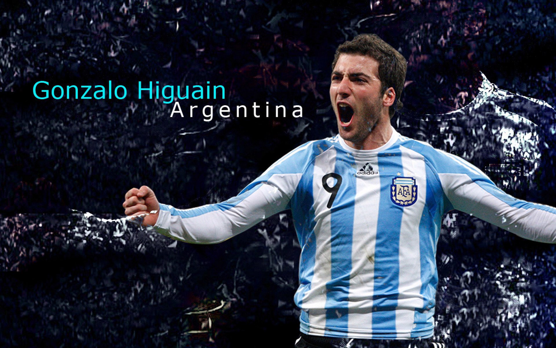 伊朗马术协会与亚洲马术协会建立合作关系，推动区域发展。，伊朗足球协会